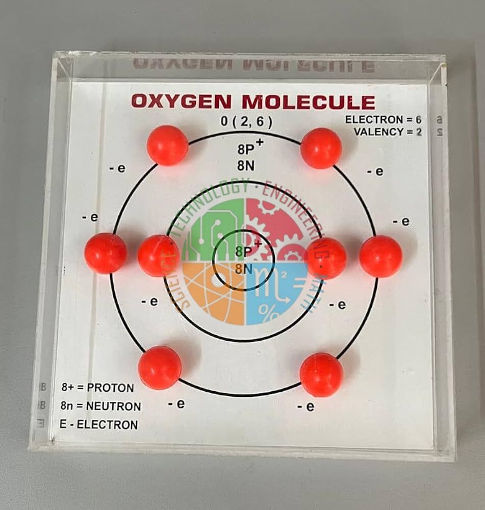 Oxygen Molecule Model